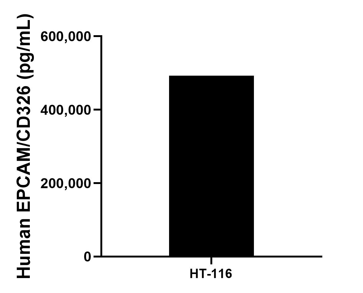 Sample test of MP01009-4